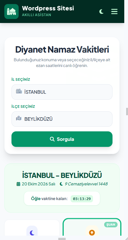 Wordpress diyanet namaz vakitleri teması 6