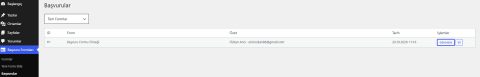 wordpress başvuru formu 4