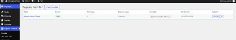 wordpress başvuru formu 2