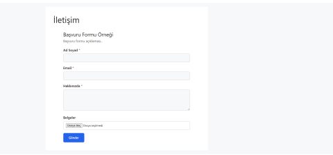 wordpress başvuru formu 3